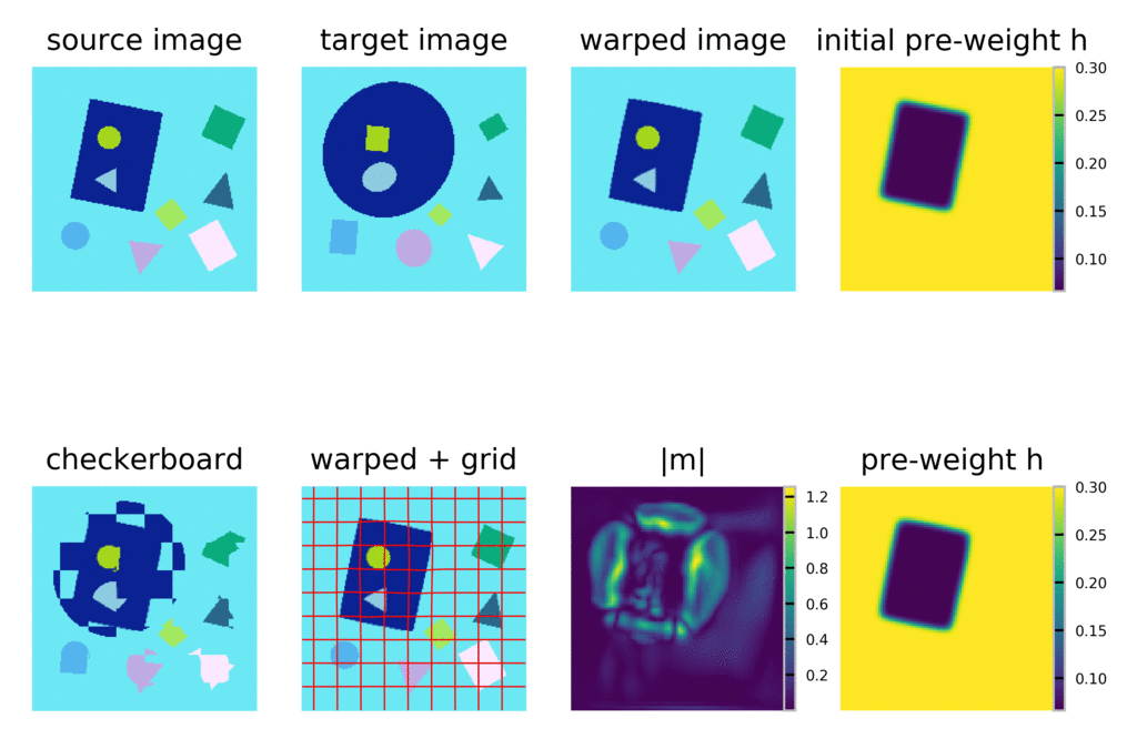 Region-specific Diffeomorphic Metric Mapping