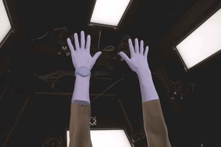 VEPHand: View-Efficient Photometric Hand Performance Capture at Scale